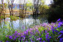 隱賢生態公園（建設中）