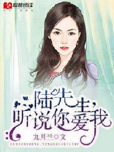陸先生,聽說你愛我 陸先生,聽說你愛我
