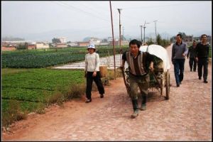 吳小營村 吳小營村