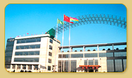 新華印刷集團 新華印刷集團