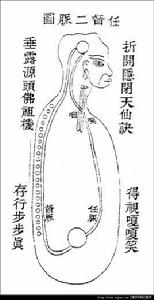 打通任督二脈 打通任督二脈
