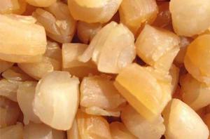 海南干貝 海南干貝