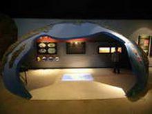 朝陽古生物化石地質公園 