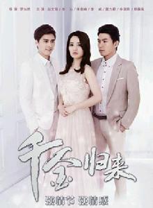 千金歸來[2013年趙文瑄主演電視劇]