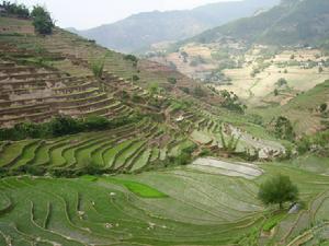 旺季自然村 旺季自然村