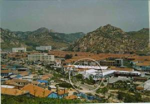 南宅科村 南宅科村