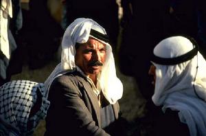 阿拉伯民族 阿拉伯民族