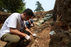 御窯廠考古遺址公園 御窯廠考古遺址公園