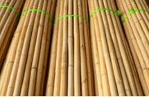 瑪瑙藤(初步加工)