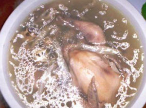 童雞響螺淮山湯