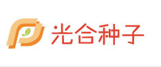 光和種子