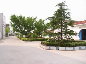 東台市富東鎮中學