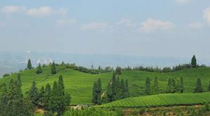大用鎮[黑龍江哈爾濱市呼蘭區大用鎮]