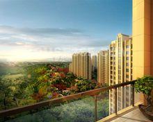 贊成&middot;樂山紅葉相冊