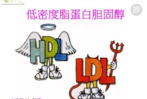 低密度脂蛋白膽固