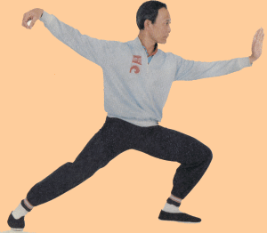 鄧時海~楊家太極武藝第六代傳人