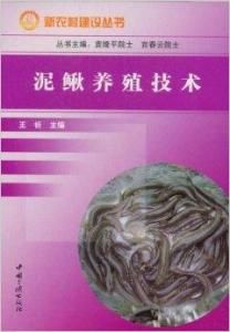 泥鰍養殖技術 泥鰍養殖技術