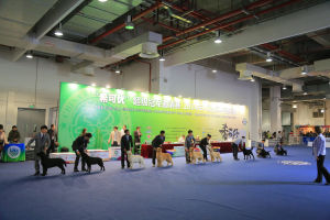 冠軍登錄 冠軍登錄