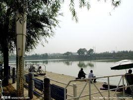 垂釣公園 垂釣公園