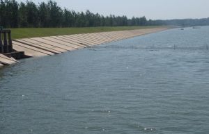 浮崗水庫 浮崗水庫