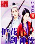 護花劍神傳 護花劍神傳