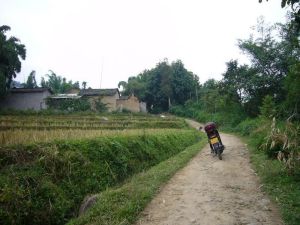 海批自然村 海批自然村