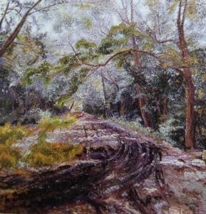 布爾留科&middot;達維德&middot;達維多維奇