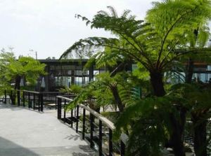 高雄市原生植物園 高雄市原生植物園