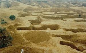 腰子侖春秋墓群 腰子侖春秋墓群