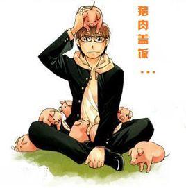 豬肉蓋飯 豬肉蓋飯