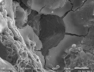 鑄造外熱裂紋微觀形態