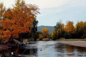 西里尼西河 西里尼西河