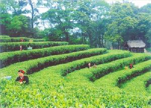 水門畲族鄉 水門畲族鄉