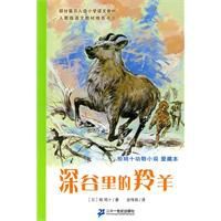 深谷里的羚羊椋鳩 深谷里的羚羊椋鳩