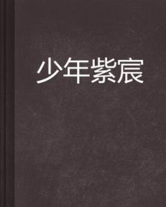 少年紫宸 少年紫宸