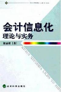 會計信息化理論與實務 會計信息化理論與實務
