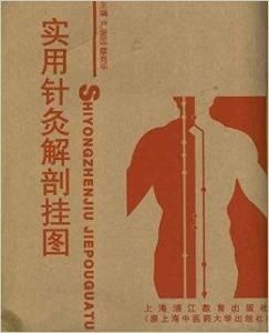 實用針灸解剖掛圖 實用針灸解剖掛圖