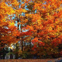 秋意盎然的費爾菲爾德市