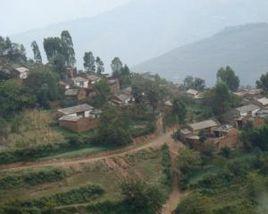 流源村[安徽祁門縣箬坑鄉下轄村]