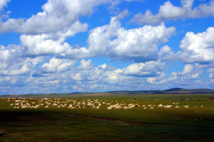 內蒙古旅遊攻略 內蒙古旅遊攻略