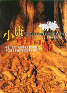 小康中國痛 小康中國痛