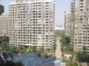 櫻駝花園思立園 櫻駝花園思立園