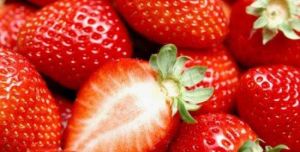 崗豐草莓園 崗豐草莓園