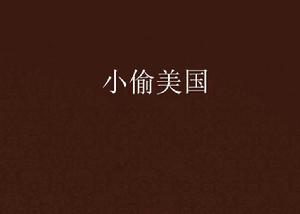 小偷美國 小偷美國