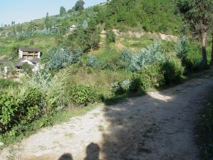 黑么苴村 黑么苴村