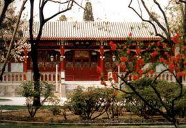 西花廳的海棠花又開了 西花廳的海棠花又開了