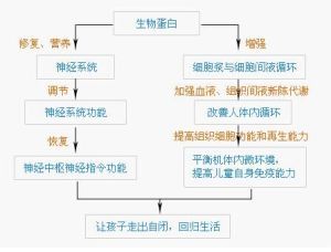 BNP數字生物神經修復技術
