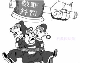 實質數罪 實質數罪