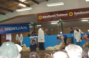 北元贊助澳大利亞紐西蘭剪毛大賽