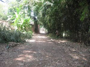 馬場坡自然村 馬場坡自然村